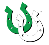 horseshoes