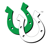 horseshoes