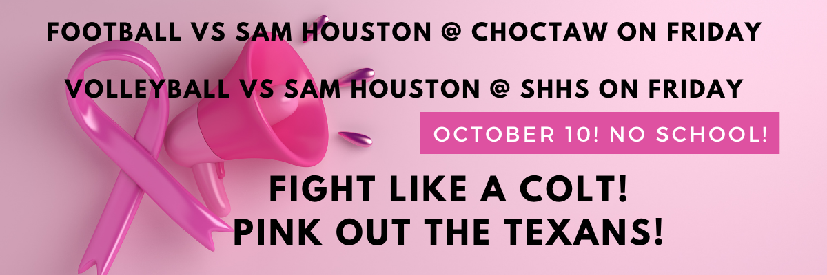 Pink Out Pep Rally 2