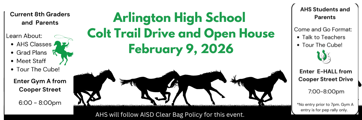 Your paragraph text 12