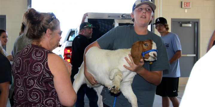 A goat is carried by an ag student into the new Ag Science Center