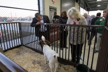 CBOC members tour the Ag Center and look at the goats.