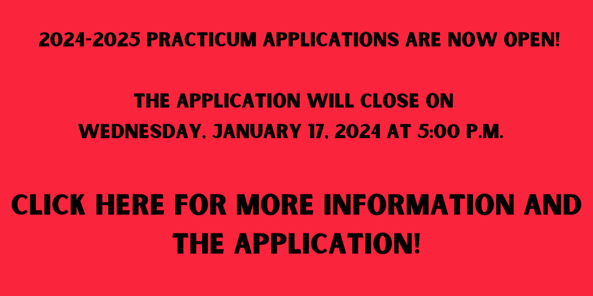 practicum slide