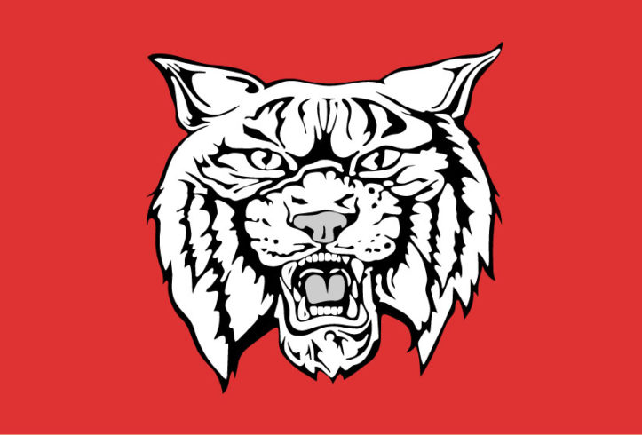 Wildcat Logo / You Guys Thought That New Kentucky Logo Showing Two