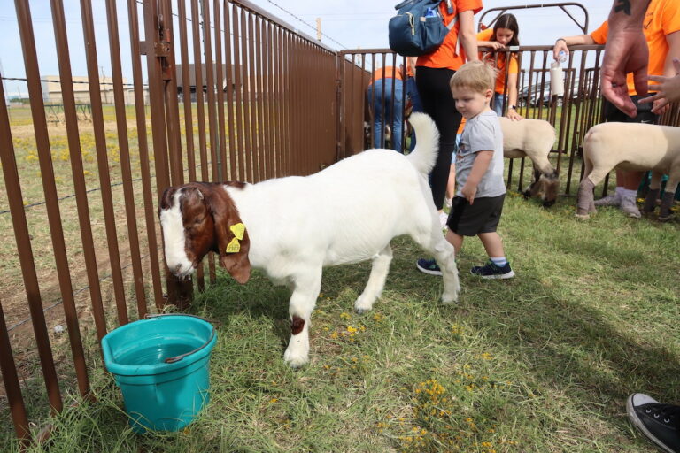 FFA Fall Festival at Arlington ISD Ag Center