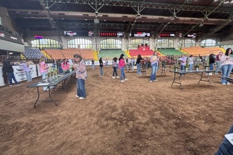 The image shows an indoor arena with several people standing around tables. The tables are spread out on a dirt floor, and plants are displayed on them. The seating area in the background is colorful and mostly empty. Lighting elements and banners are visible overhead, adding to the event setting.