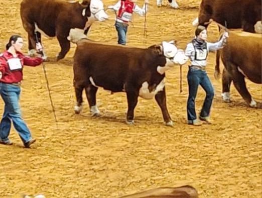 Brooklyn and Kerosene