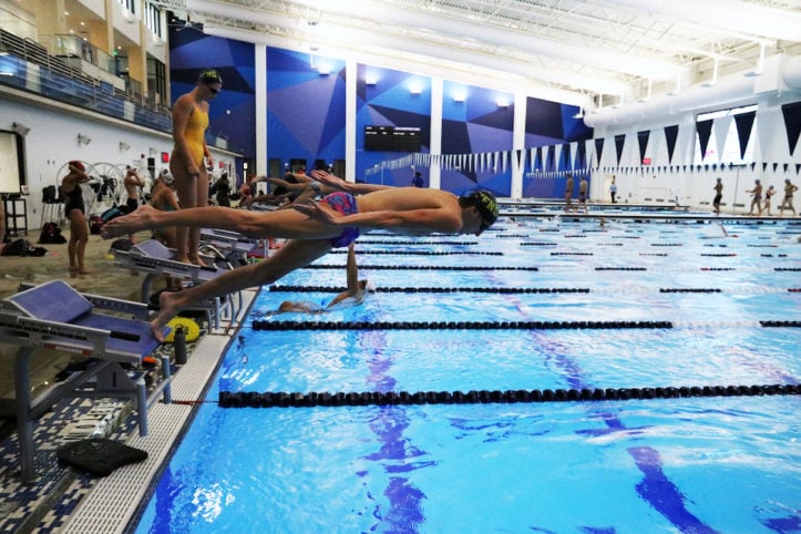 Lamar student diving in pool