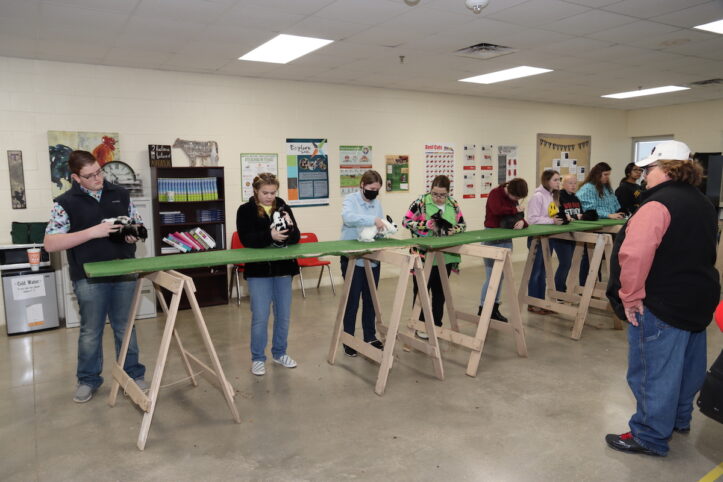 Winter Classic at Arlington ISD Agricultural Science Center rabbits