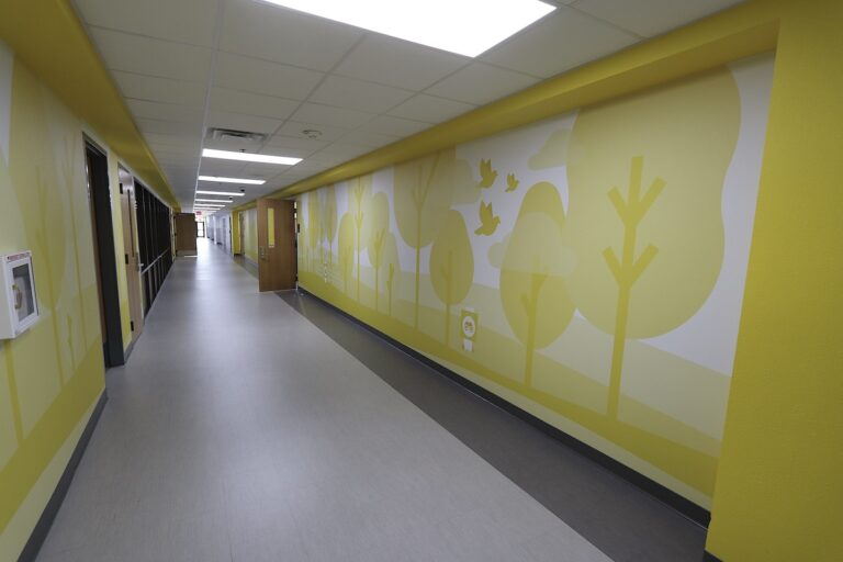Short Elementary - new wall graphics
