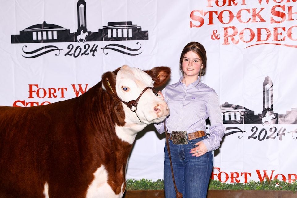 steer sold at Fort Worth Stock Show for $47,000