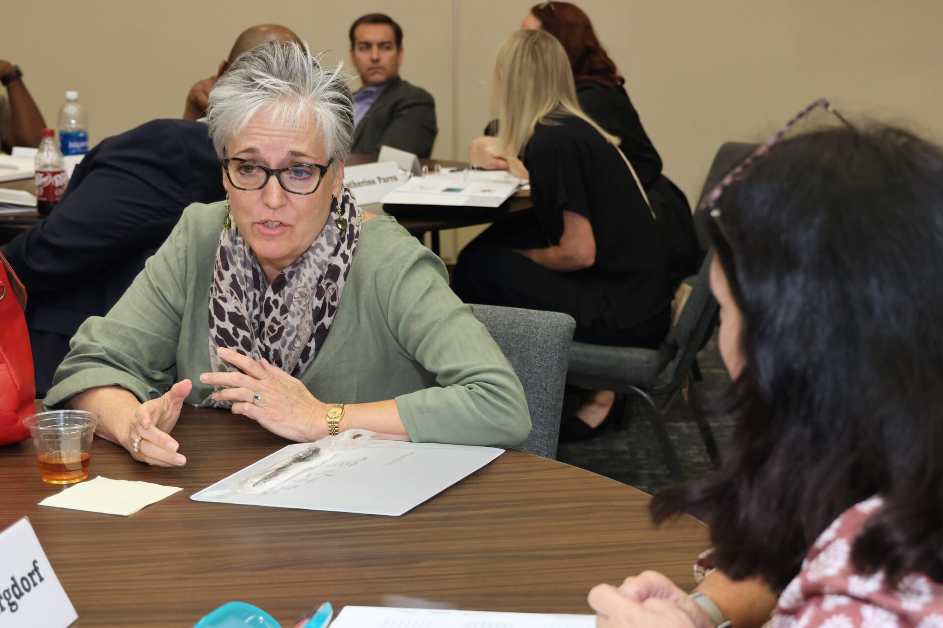 Committee Discussion