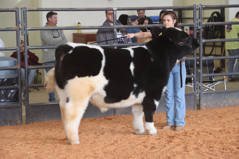 Winter Classic at Arlington ISD Agricultural Science Center