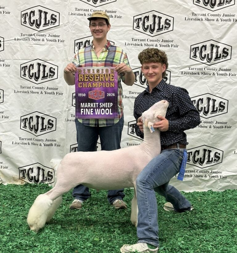 Arlington High’s Wyatt Hausenfluke with his first-place sheep that won Reserve Champion Fine Wool