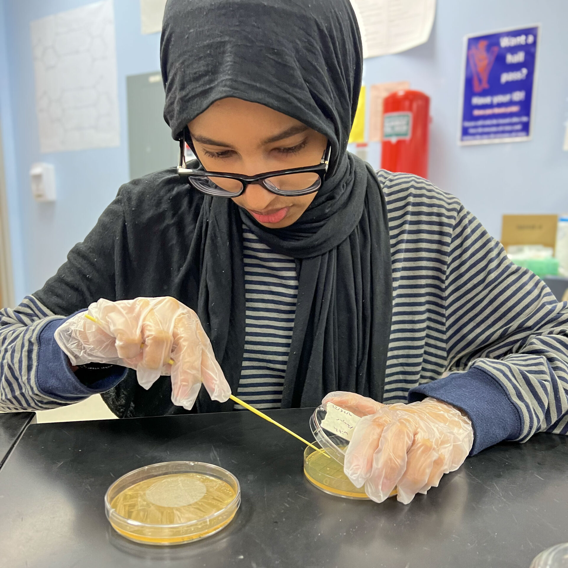 A International Baccalaureate student at Bowie High School examines a petri dish.