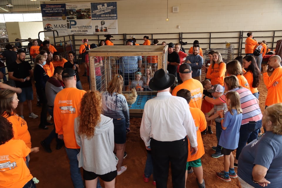 FFA's Fall Festival at the Arlington ISD Agriculture Center - chicken poop bingo