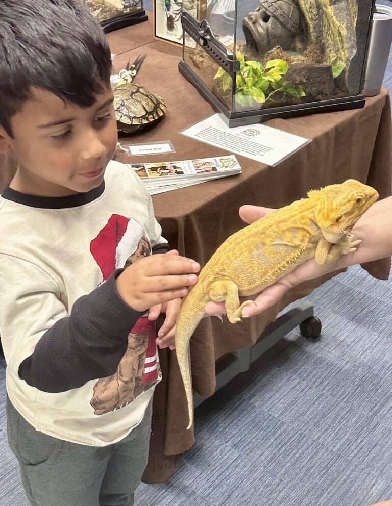 STEMtacular 2024