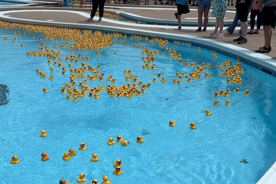 Duck Derby - Arlington Sunshine Rotary Club