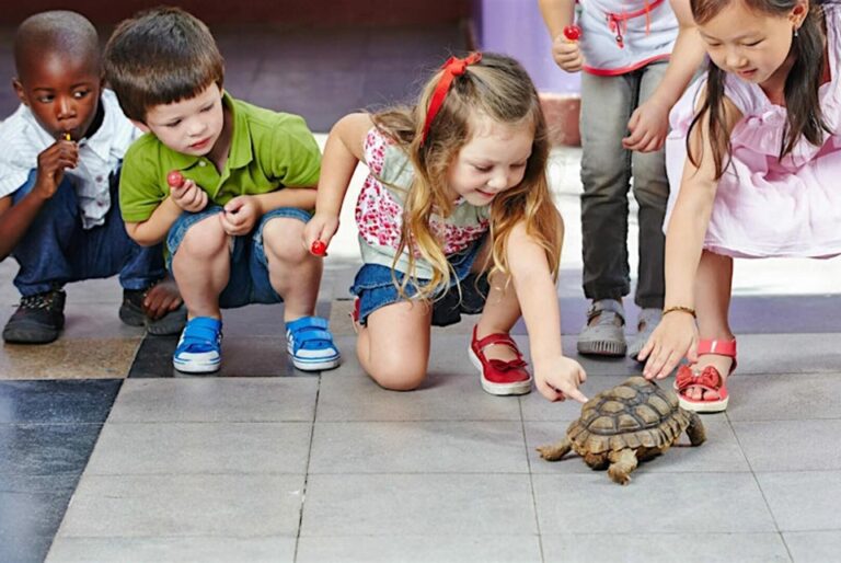 Early Learning Connections seminar Dec. 5 features specialist from PBS Kids